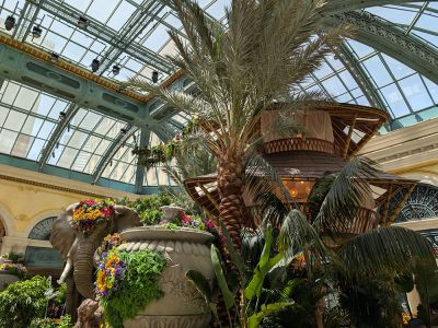 Blumen im Bellagio