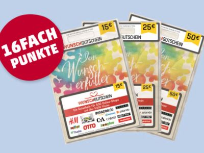 16fache PAYBACK Punkte auf den Wunschgutschein