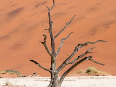 Deadvlei