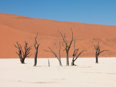 Deadvlei