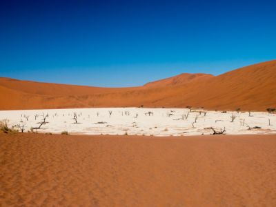 Deadvlei