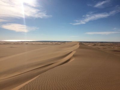 Sandboarding in der Wüste