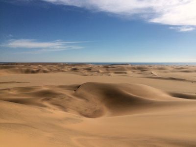 Sandboarding in der Wüste