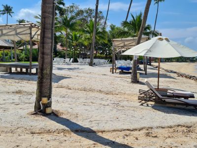 Strandbetten und -liegen