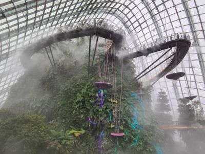 Cloud Forest