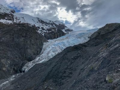 Exit Glacier