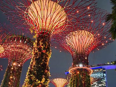 Supertrees Singapur