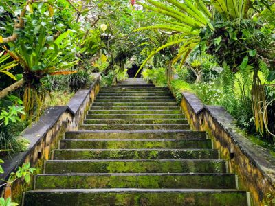 Treppenstufen zur Rezeption im Hanging Gardens of Bali