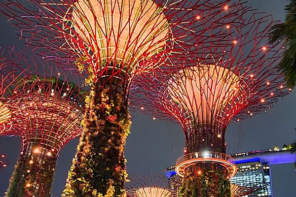 Supertrees Singapur