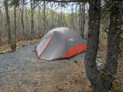 Camping am Exit Glacier