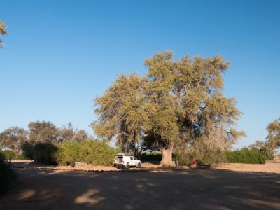 Unser Stellplatz bei der Brandberg White Lady Lodge