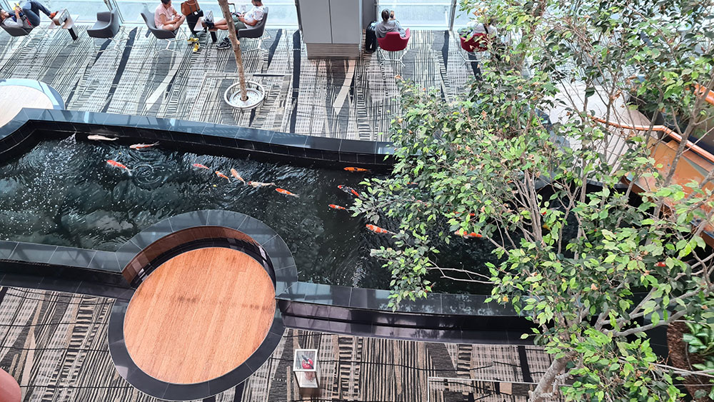 Koi-Teich im Terminal