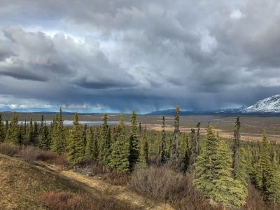 Auf dem Weg nach Tolsona