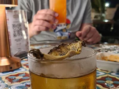 Cocktails in der Esco bar